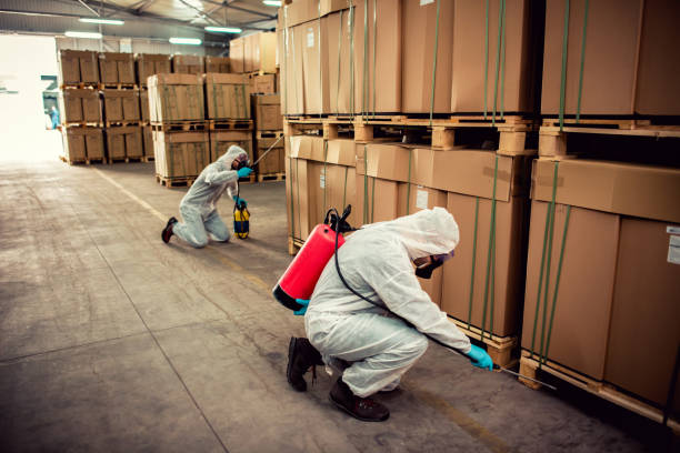 Best Wasp Removal Services  in Prieville, NC