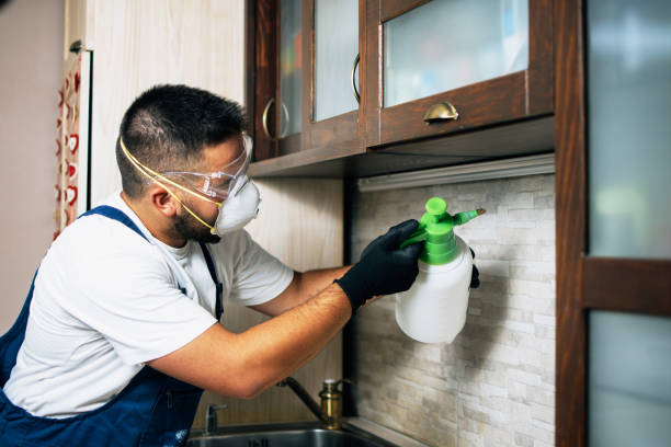Best Pest Control for Homes  in Prieville, NC