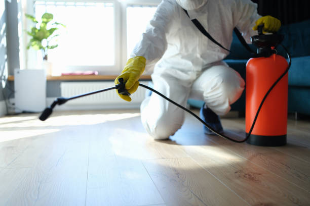 Best Cockroach Control Services  in Prieville, NC