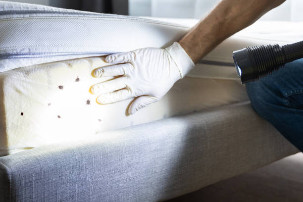 Best Pest Inspection Near Me  in Prieville, NC