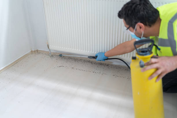 Best Pest Prevention Services  in Prieville, NC