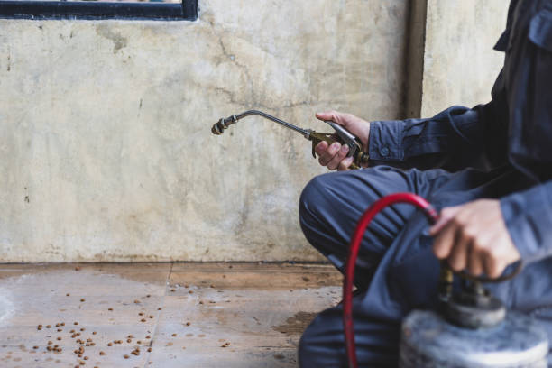 Best Best Pest Control Companies  in Prieville, NC